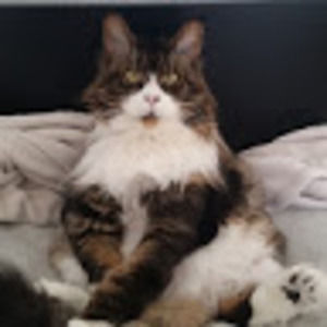 Meet your Posher, Alexandra